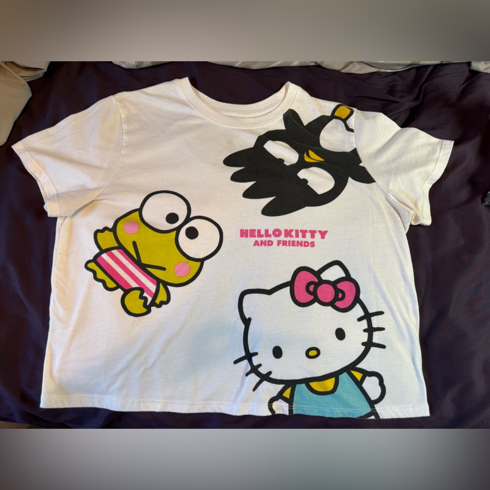 Hello Kitty & Friends Oversized Crop Top